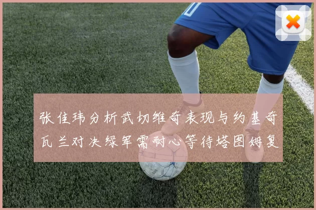 张佳玮分析武切维奇表现与约基奇瓦兰对决绿军需耐心等待塔图姆复出