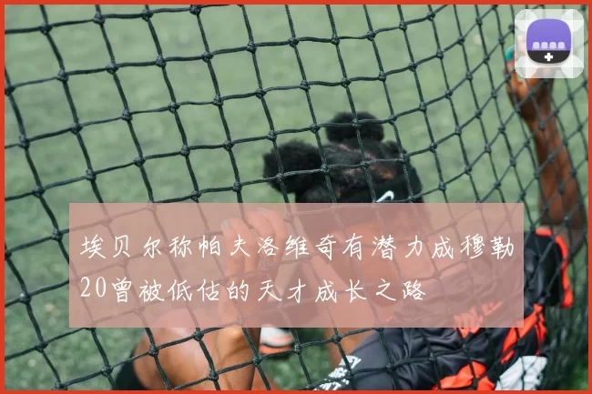 埃贝尔称帕夫洛维奇有潜力成穆勒20曾被低估的天才成长之路