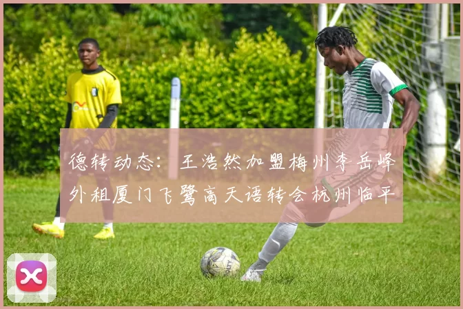 德转动态：王浩然加盟梅州李岳峰外租厦门飞鹭高天语转会杭州临平吴越